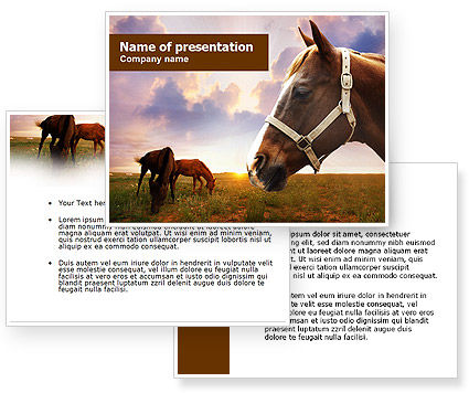 Horses PowerPoint Template - PoweredTemplate.com | 3 Backgrounds, 3 ...