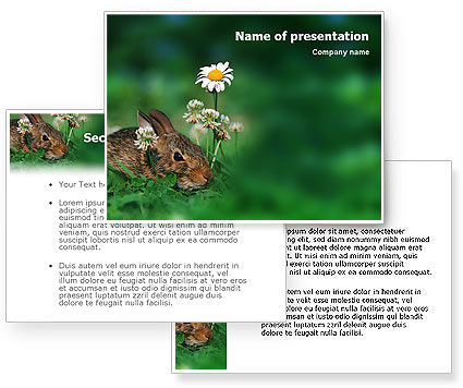 Rabbit PowerPoint Template PoweredTemplate com 01815 3