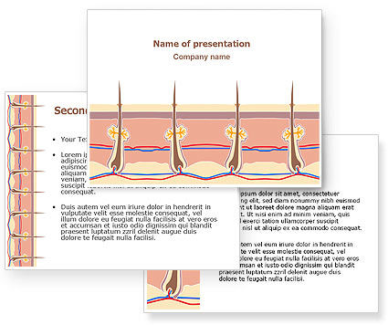 Skin PowerPoint Template - PoweredTemplate.com | 3 Backgrounds, 3 ...