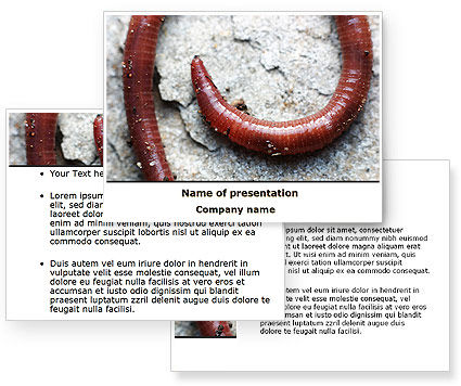 Earthworm PowerPoint Template - PoweredTemplate.com | 3 Backgrounds, 3 ...