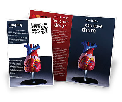 Heart Model Brochure Templatea