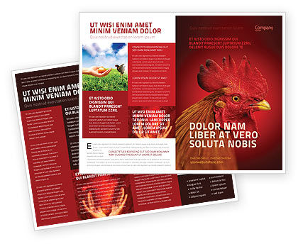 Rooster Brochure Template Design And Layout Download Now 04937 Poweredtemplate Com Free Agriculture Flyer Templates