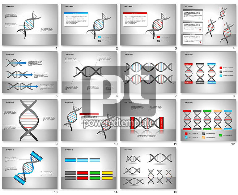 DNAbundel diagrammen
