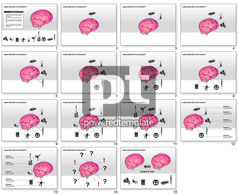 Human Brain Motivation Diagrams