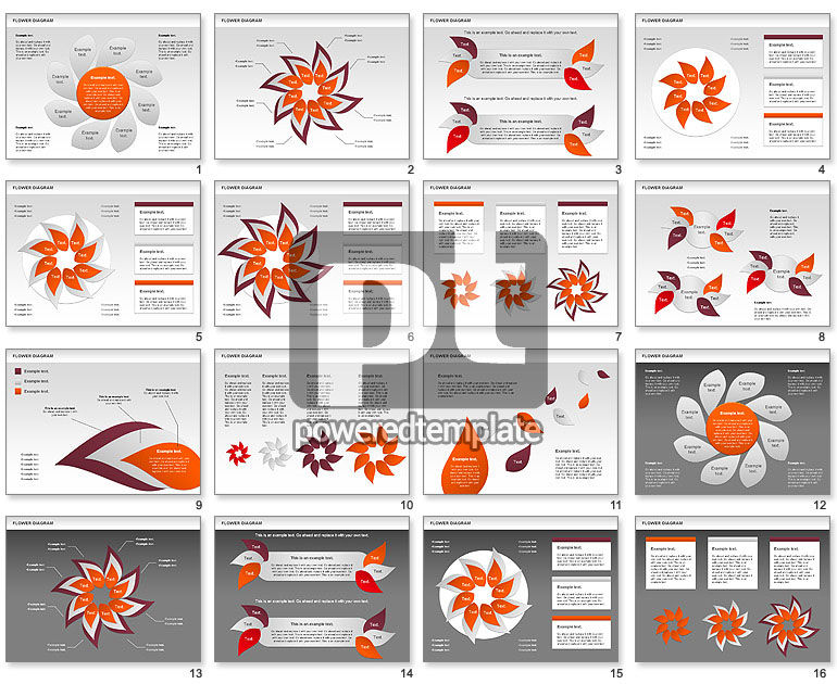 Flower Diagram