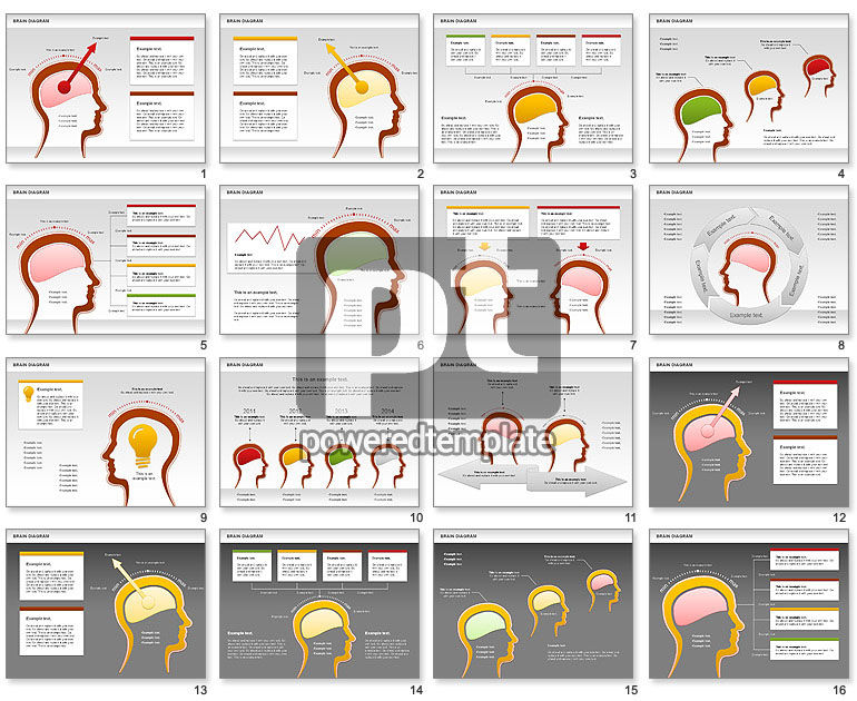 Brain diagrama