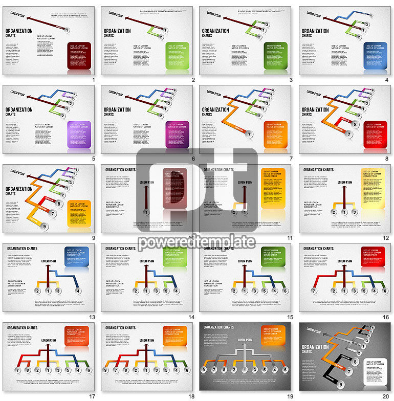 Organizational Chart