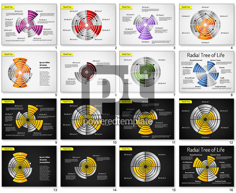 Radial Chart Set