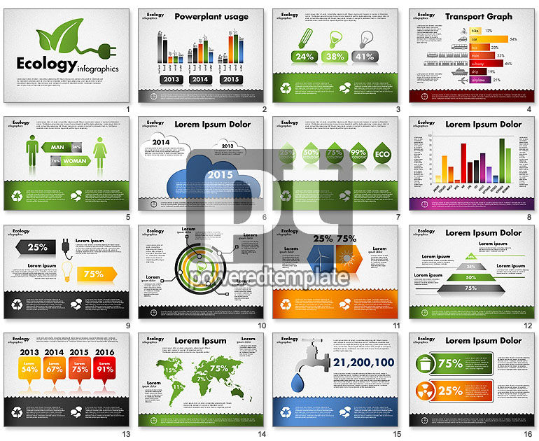 Ecology infographics