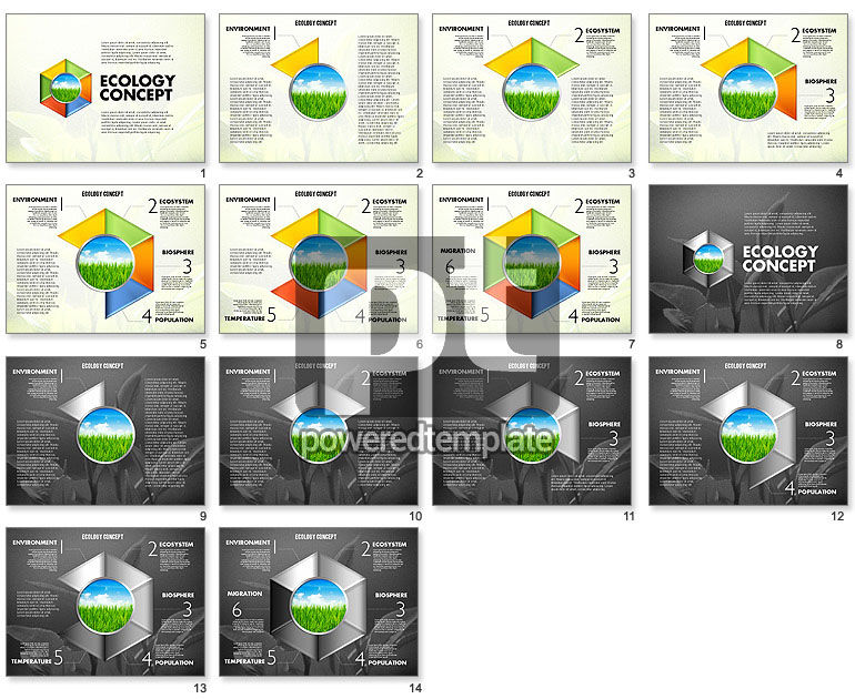 Stages com diagrama da ecologia da foto