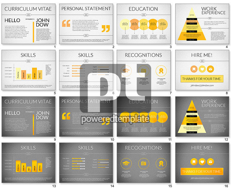 Elegant Curriculum Vitae Template 