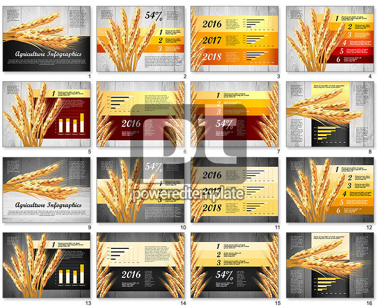 Agriculture Infographics Template