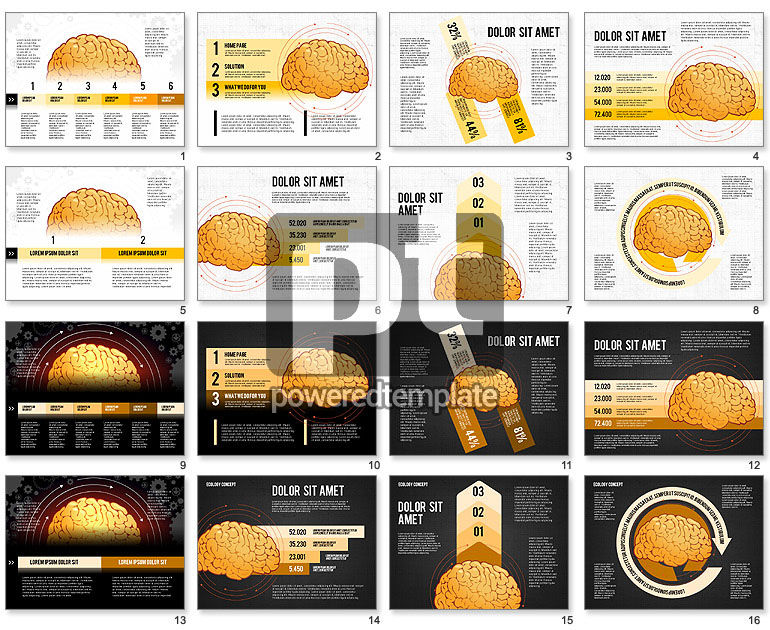 Brain Processes and Options Concept