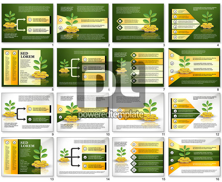 Investment Options Concept