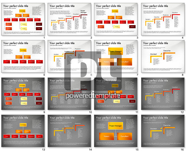 Diagrama de la organización