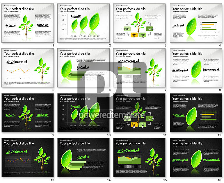 Growth and Approach Presentation Concept