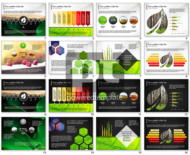 Présentation infographique écologique