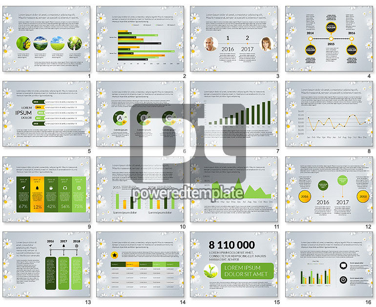 Informe de presentación de Nature Conservancy