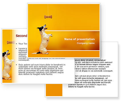 Pet PowerPoint Template - PoweredTemplate.com | 3 Backgrounds, 3 ...