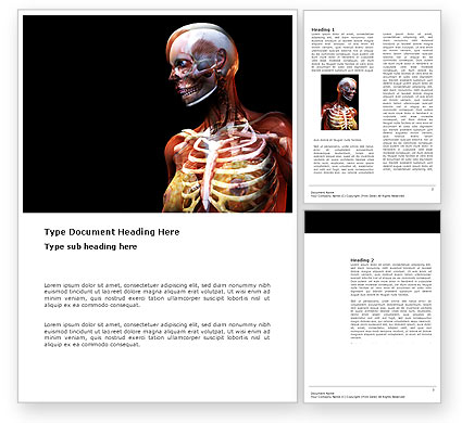 女性の解剖学的な乳房と顔の骨 Wordテンプレート Poweredtemplate Com