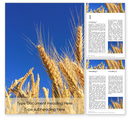 青い空を背景に小麦の黄金の耳 無料wordテンプレート 159 Poweredtemplate Com