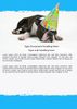 Happy Birthday Puppy Word Template, Cover Page, 05265, Holiday/Special Occasion Happy Birthday Puppy Word Template, Cover Page, 05265, Holiday/Special Occasion — PoweredTemplate.com