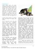 Happy Birthday Puppy Word Template, First Inner Page, 05265, Holiday/Special Occasion Happy Birthday Puppy Word Template, First Inner Page, 05265, Holiday/Special Occasion — PoweredTemplate.com