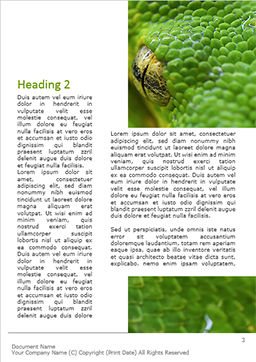 Emerald Python Coiled on Tree Word Template 15879 | PoweredTemplate.com