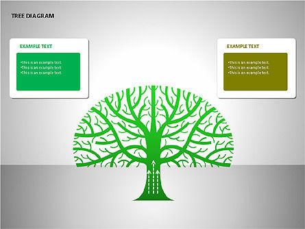 Tree diagrams, Deslizar 5, 00084, Diagramas em Árvore — PoweredTemplate.com