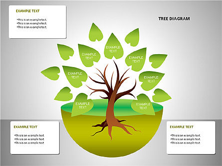 Tree Diagrams, Slide 8, 00084, Tree Diagrams — PoweredTemplate.com