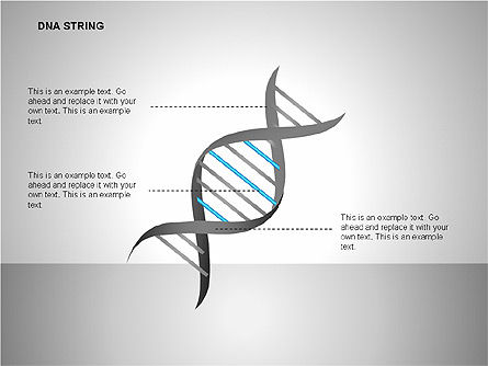 DNA Strand Diagrams, PowerPoint Template, 00113, Shapes — PoweredTemplate.com