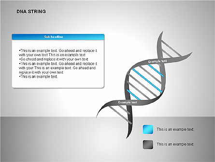 DNA Strand Diagrams, Slide 2, 00113, Shapes — PoweredTemplate.com