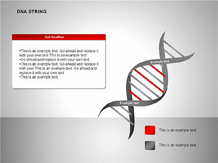 DNA Strand Diagrams, Slide 3, 00113, Shapes — PoweredTemplate.com