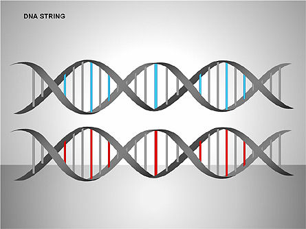 DNA Strand Diagrams, Slide 7, 00113, Shapes — PoweredTemplate.com