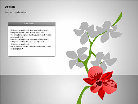 兰花造型, 免费 PowerPoint模板, 00117, 阶段图 — PoweredTemplate.com