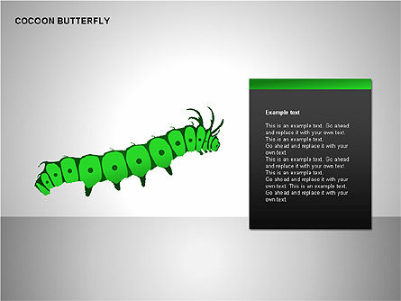 Diagrama de la mariposa del capullo, Diapositiva 5, 00177, Diagramas de la etapa — PoweredTemplate.com