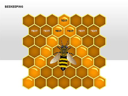 꿀벌 다이어그램, 슬라이드 2, 00239, 매트릭스 차트 — PoweredTemplate.com