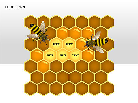 Diagramas de abeja, Diapositiva 3, 00239, Gráficos matriciales — PoweredTemplate.com