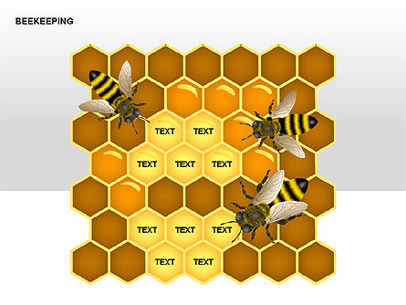 Bee diagramas, Deslizar 4, 00239, Gráficos Matriciais — PoweredTemplate.com