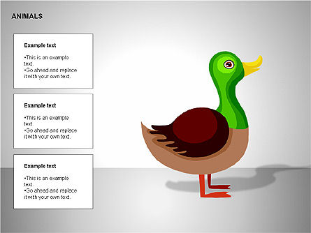 Animali diagrammi, Slide 14, 00264, Grafici e Diagrammi Educativi — PoweredTemplate.com