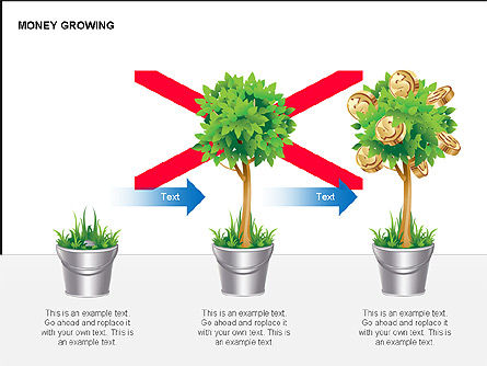 Diagrammes de croissance de l'argent, Diapositive 2, 00300, Schémas d'étapes — PoweredTemplate.com
