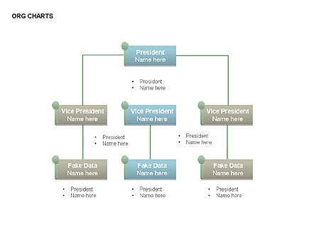 Organisatieschema's, PowerPoint-sjabloon, 00344, Organisatorische Grafieken — PoweredTemplate.com