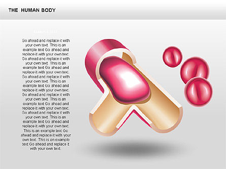 L'interno umana, Slide 4, 00351, Diagrammi e Grafici Medici — PoweredTemplate.com