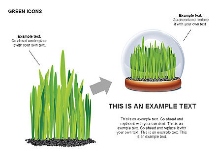 Bentuk Ekologi Dan Diagram, Slide 6, 00417, Bentuk — PoweredTemplate.com