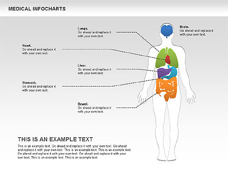 Medical Charts, PowerPoint Template, 00460, Medical Diagrams and Charts — PoweredTemplate.com