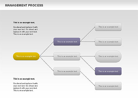 Organigrama del proceso de gestión, Diapositiva 3, 00680, Diagramas de proceso — PoweredTemplate.com