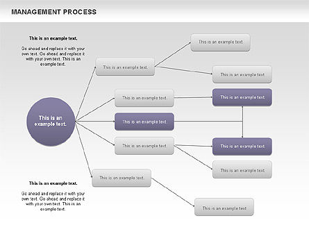 Flux de flux du processus de gestion, Diapositive 5, 00680, Schémas de procédés — PoweredTemplate.com