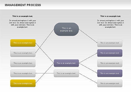 Organigrama del proceso de gestión, Diapositiva 8, 00680, Diagramas de proceso — PoweredTemplate.com