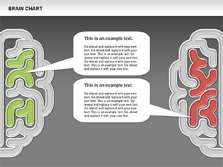 Grafico del cervello, Slide 13, 00701, Diagrammi Palco — PoweredTemplate.com