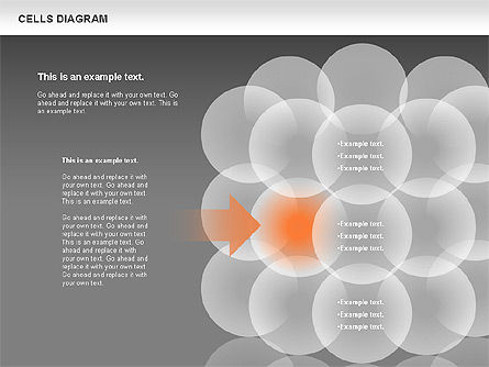 Diagramme des cellules, Diapositive 15, 00705, Modèles commerciaux — PoweredTemplate.com